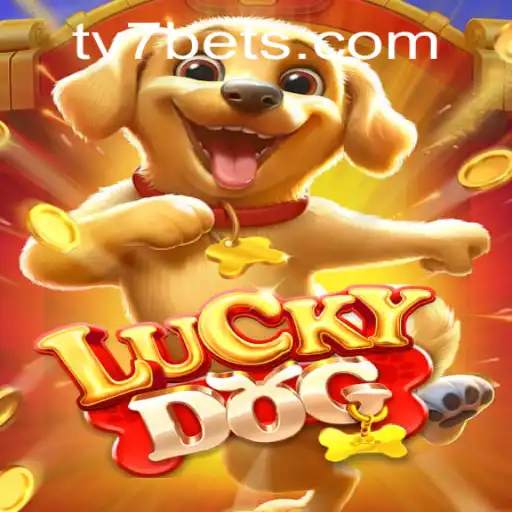 Descubra o Mundo Vencedor de LuckyDog e TV7.bet